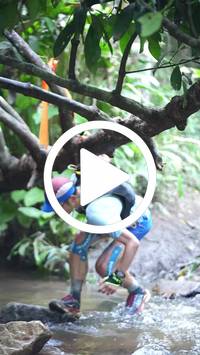 BIB:  <button type="button" onclick="openModal(27824209)" class="btn btn-primary btn-sm float-right" data-toggle="modal" data-target=".modal-high-quality">
                <i class="fa fa-download"></i> Download
                </button>